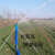 农用水带PVC涂塑水管灌溉喷灌设备蓝水带高压防爆软管2寸2.5寸3寸 2寸特级