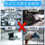 索克曼 融雪剂 除雪剂工业盐50kg 100斤大袋装（新旧包装随机发货）