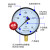 OLOEY上海仪川仪表厂Y150普通压力表气压表水压表供暖压力表来电 0-0.06MPA