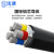 沈津 ZR-VLV22-0.6/1KV-3*185+2*95mm² 国标铝芯铠装阻燃电力电缆 1米