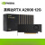 英伟达RTX A2000 12G盒装6G建模渲染剪辑绘图图形电脑显卡 NVIDIA A2000 12G 工业包装 6GB