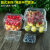 市一次性水果包装盒透明塑料盒水果00水果店一斤装草莓打包盒 125克蓝莓盒-100个 125克蓝莓盒-100个