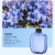 卫洋WYS-1830 自动喷香机配套香水1瓶 （可备注香型）