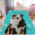 拓扑狗垫子耐咬吸水狗狗垫子四季狗睡垫宠物地垫防滑地毯猫咪睡垫 萨摩耶 40*60厘米(较小尺寸)