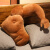 男朋友手臂睡觉肌肉男抱枕枕头毛绒玩具创意胳膊靠垫情人节礼物 深棕左膀 45cm*30cm  0.3kg