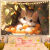 山头林村床头背景墙壁布卡通网红小猫咪ins可爱插画布系列宿舍出租屋布置 小猫与水果27 大号宽2米高1.5米(送6米灯)
