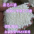 高纯聚乳酸颗粒/粉末PLA原料美国NatureWorks4032D生物降解材料 PLA细粉100目/一公斤