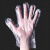 双安 一次性手套pe塑料手套加厚一次性手套现货批发定制报价 1