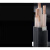 电力电缆16铜芯YJV22 2 3 4芯10平方25室外ZR动力电缆铜线 YJV5芯10(10米)