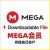MEGA网盘云盘会员ProLiteProIIIIII流量限制年费代充 Pro l 1月