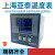 上海亚泰NE-6411V-2仪表温控器NE6000-2温控仪NE-5411数显温度表 NE-6411V(N) K 400度