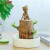 意轩巴西木盆栽水养迷你室内桌面绿植四季常青幸运木格鲁特水培植物 （直径7cm左右）+白瓷盆+格鲁特