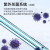 上海一恒 电热恒温培养箱细胞微生物腹透液催芽发酵实验室 DHP-9012普及型 