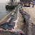 京顿橡胶围油栏WGJ900充气式拦油带拦污带拦油索水域码头港口钻井平台垃圾浮油防扩散