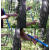 适用于瑞典Haglof树木生长锥植物树木生长锥    树木年龄研究 600mm长