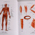 实用人体解剖图谱概论与断面分册 医学图书 正版书籍 上海科学技术出版