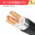 鑫永信 国标铜芯铠装ZC-YJV22电力电缆 足方足米 5*2.5平方（1米）