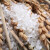 庭享东北大米优选软香米珍珠米新米香米 小町米5kg