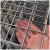 德威狮 304不锈钢铁丝网电焊网片加粗隔离防护网片 10cm方孔5mm粗1m宽2m长 单位：张