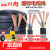 RVV电缆线电线国标软线2芯3芯1/2.5/4/6/10平方电缆线户 国标2芯25平方1米价