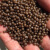 康格雅 磷H6NO4P酸二铵肥料 农用疏果树木花卉颗粒肥料化肥磷肥 50kg