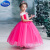 迪士尼（Disney）女童公主裙爱莎安娜爱洛公主连衣裙蓬蓬纱礼服六一儿童演出服装 单裙子 110cm