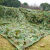 德威狮 防晒网遮阴网防航拍网双层绿化遮盖网加厚抗老化 10米×10米