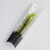 慕那美（monami）透明彩色小钢笔F尖0.5mm学生用练字书写钢笔套装2099墨囊钢笔OLIKA 橄榄绿色