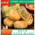 南耀離（NanYaoLi）绿豆饼山西运城特产绿豆点心老式传统手工零食小吃红豆酥 芸豆饼390g*2包(每包8个)