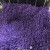 短云 安全防护跑道颗粒室外地胶橡胶跑道地板篮球场地坪地面材料 塑胶彩色颗粒 3mm 25kg紫色