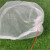 海斯迪克 HK-5103 尼龙网袋 防虫网眼袋 种子袋水稻育种袋尼龙袋套纱网袋套袋40目 55*35cm（10个）