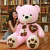 机灵熊泰迪熊毛绒玩具熊公仔特大号布娃娃玩偶女生抱抱熊猫睡觉生日礼物 深棕色（围巾熊） 160厘米