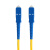蓝邮 光纤跳线 SC-SC 单模单芯 黄色 3m SC/UPC-SC/UPC-3M