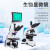 力辰（LICHEN） 生物显微镜大视场目镜带CTV专业光学高清jing子螨虫显微镜 LC-BMS-100
