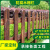 谋福（CNMF）户外木栅栏 花园围栏草坪庭院木护栏碳化木栅栏【咖色100*50*70cm ( 厚13mm)】