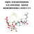 熙峰集团 鲜人参膏 Rg3Rh2 16种鲜活稀有人参皂苷蛋白肽氨基酸多糖维生素钾钙锌镁锰