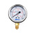 定制油压表竖向抗震耐震压力表径向测压YN-601.62.5/4/10/16/25/40MPA定制 0-4MPA