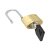 沸耐笙 FNS-24402 电网防水铜挂锁电力表箱锁/35mm梅花铜锁 锁勾20mm通开 1把