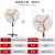 防爆摇头扇FB/BTS-500落地式600壁式750工业电风扇220V牛角扇380V FB-750/380V立式