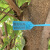 定制一次性园林苗木锁扣打号锁标记牌标签标识号苗树扎带塑料封条 钢丝封条1米长100条
