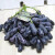 润鲜培澳洲进口金手指葡萄 蓝宝石黑加伦无籽新鲜水果无籽提子 净重 2斤 （泡沫箱+冰袋）