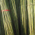 犀跃 竹竿 爬藤竹杆架搭架 篱笆栅栏彩旗杆细竹子 直径5cm 长3米（10根）