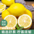 时鲜汇四川安岳黄柠檬 柠檬鲜果 奶茶店批发香水柠檬皮薄新鲜水果 柠檬8个装80g-120g
