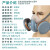 防毒口罩面罩面具防工业粉尘灰尘油烟有机酸碱性有毒有害气1 3402+2201 小号S