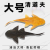 灿驰qingdaofu鱼缸清洁工鱼观赏热带淡水专吃便垃圾粪便清理藻类残 7-9cm黑清道夫 1条