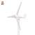 晶标户外三叶水平轴风力发电机家用商用小微型220v伏直流风光互补永磁路灯风力发电M型12v800W