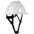 碳纤维纹路ABS工地安盔透气防砸新国标安帽男VIP建筑工程劳保 DSQ20X白色 领导级
