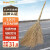 Supercloud大扫把竹环卫马路物业柏油道路地面清扫清洁大号笤帚扫帚 竹枝连体3.8斤款 5把