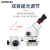 南北仪器 高清专业体式显微镜双目三目学校科学实验连续变倍显微镜 XTZ-D双目镜筒（变倍7-90X） 