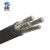 鼎献 电线电缆 YJLV 3*25平方 3芯国标铝芯阻燃电力电缆 1米
